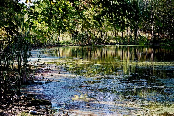 Lin and Michael's Photos