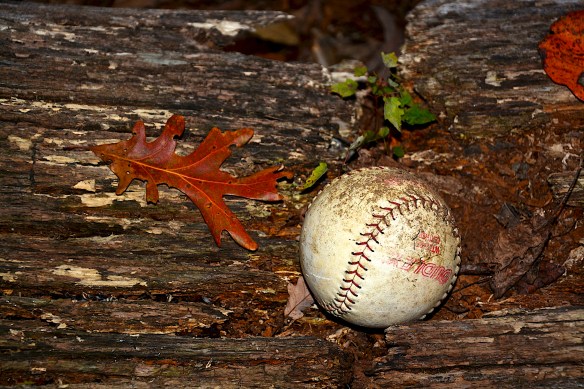 Lin and Michael's Photos