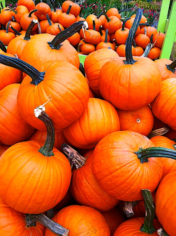 Lin and Michael's Photos