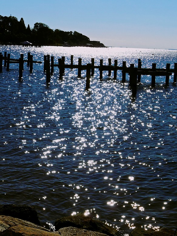 Lin and Michael's Photos