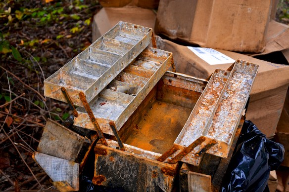 Lin and Michael's Photos