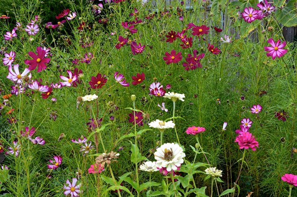 Lin and Michael's Photos