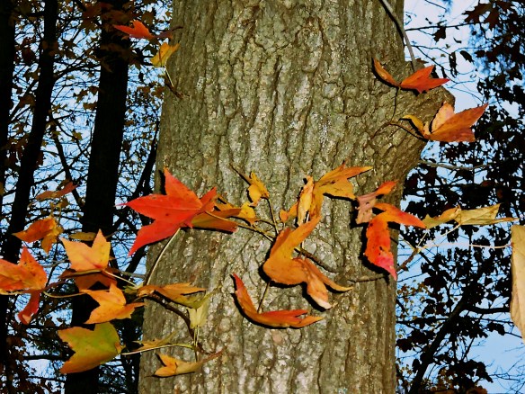 Lin and Michael's Photos