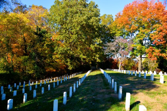 Lin and Michael's Photos