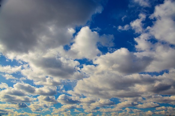 Lin and Michael's Photos