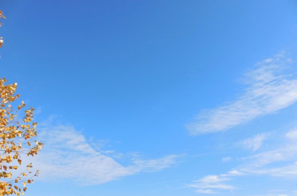 Lin and Michael's Photos