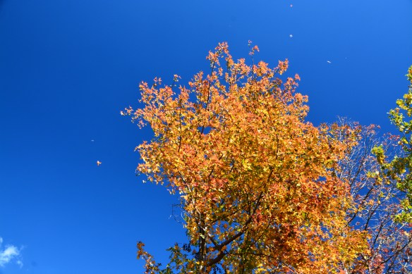 Lin and Michael's Photos