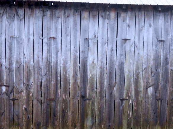 Lin and Michael's Photos