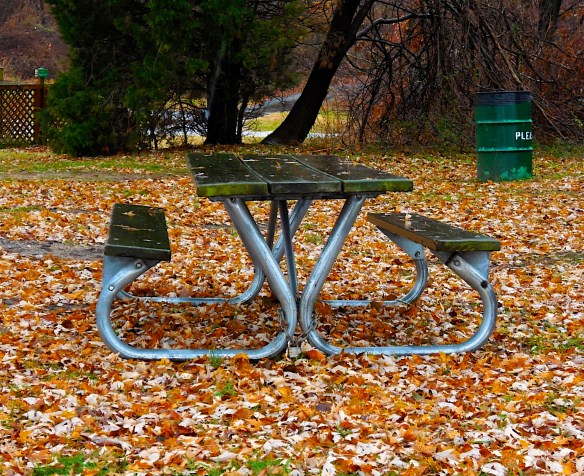 Lin and Michael's Photos