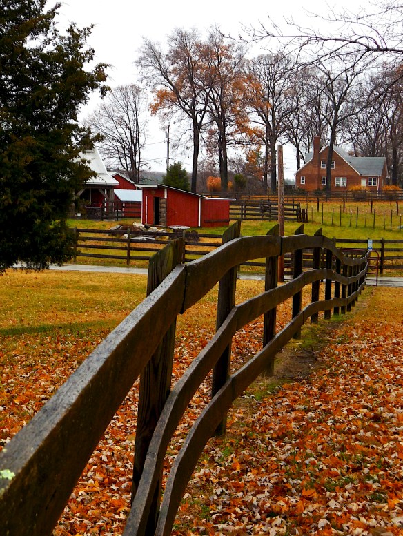 Lin and Michael's Photos