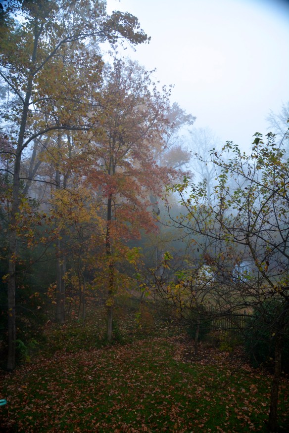 Lin and Michael's Photos