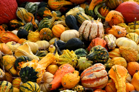 Lin and Michael's Photos