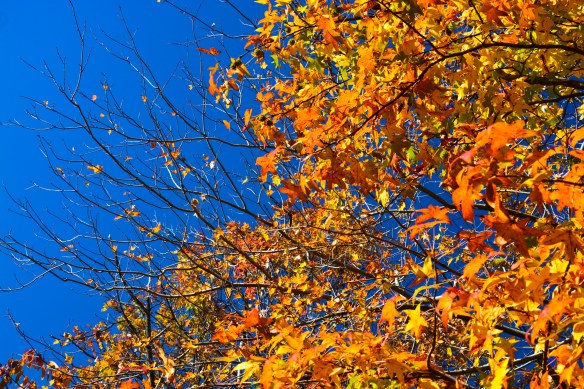 Lin and Michael's Photos