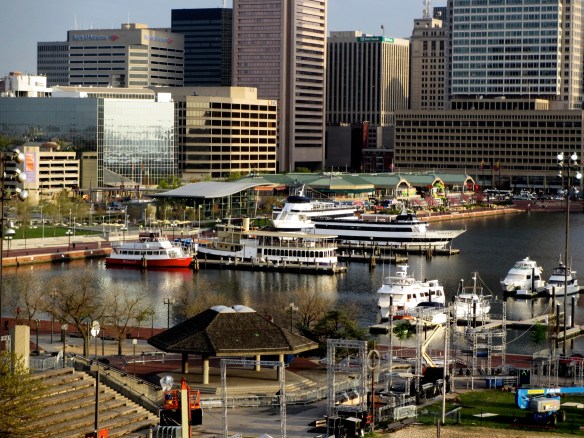 Lin and Michael's Photos 