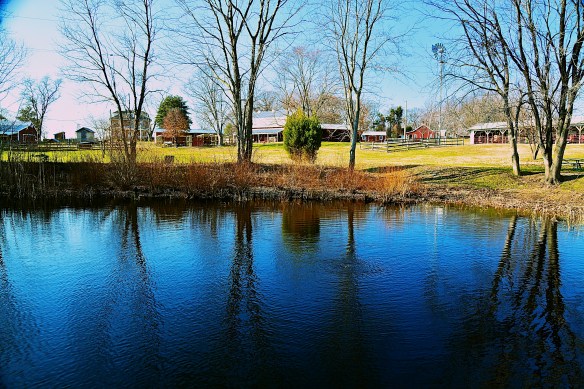 Lin and Michael's Photos