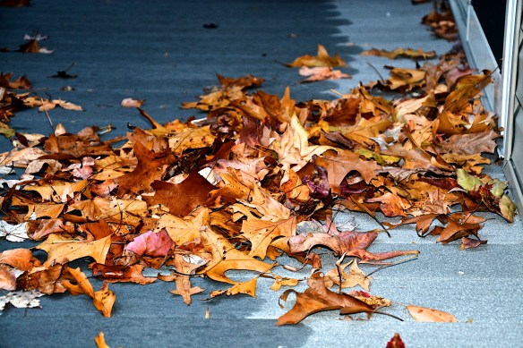 Lin and Michael's Photos