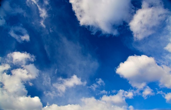 Lin and Michael's Photos