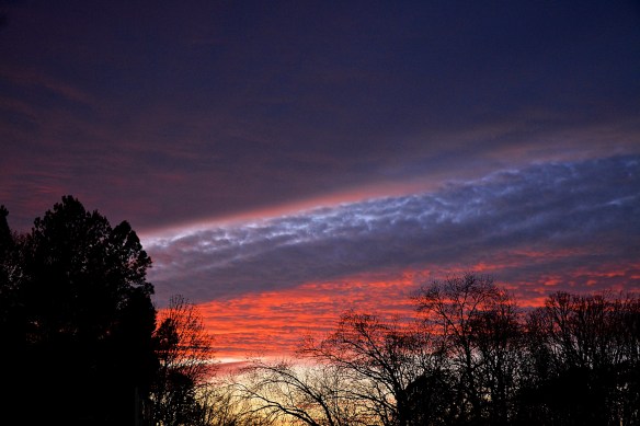 Lin and Michael's Photos