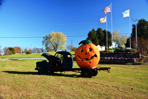 Lin and Michael's Photos