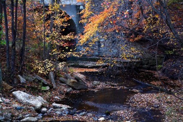 Lin and Michael's Photos