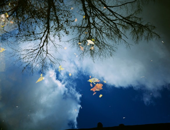 Lin and Michael's Photos