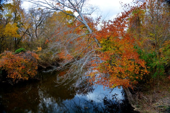 Lin and Michael's Photos