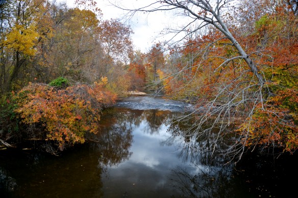 Lin and Michael's Photos