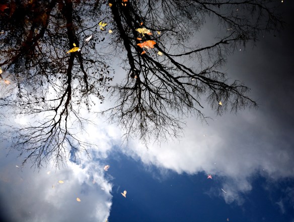 Lin and Michael's Photos