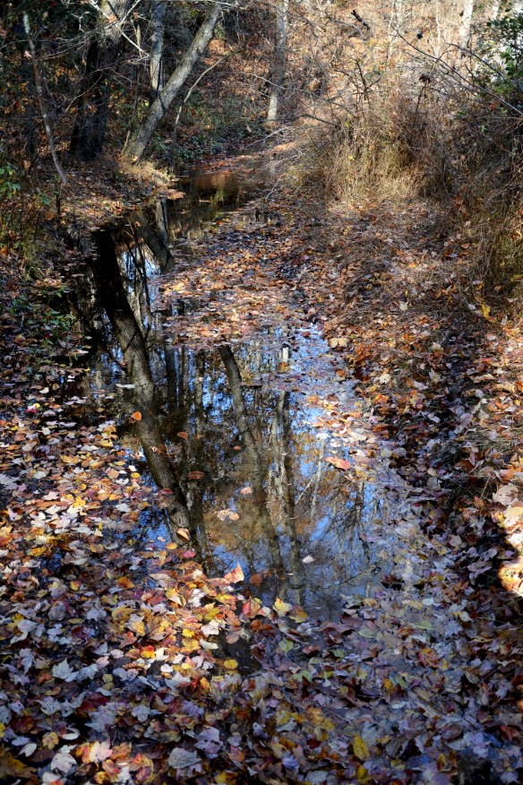 Lin and Michael's Photos