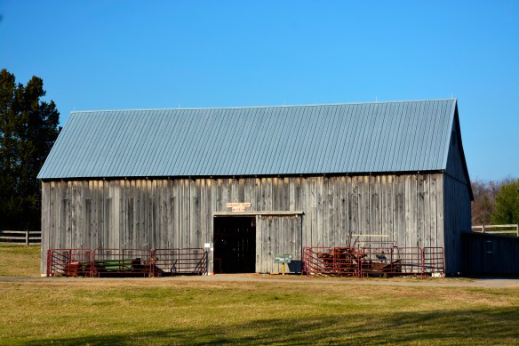 Lin and Michael's Photos