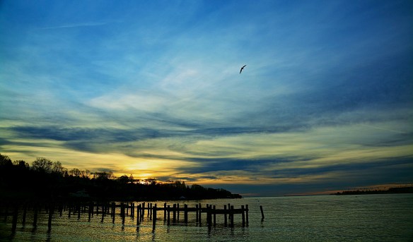 Lin and Michael's Photos