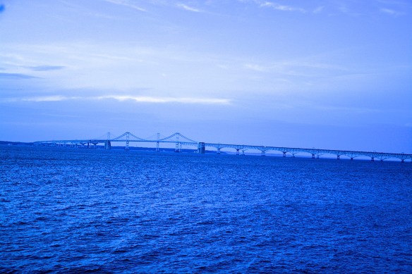 Lin and Michael's Photos