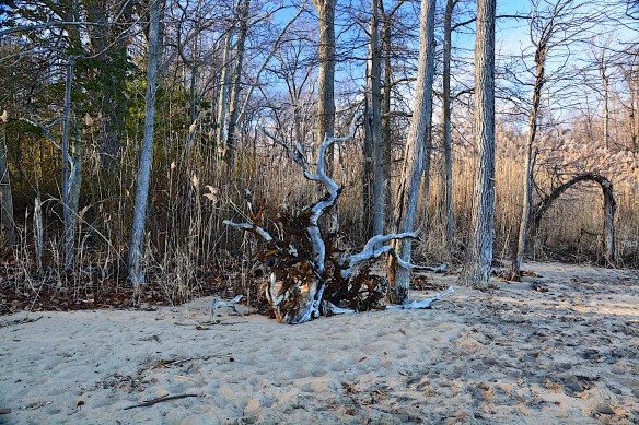 Lin and Michael's Photos