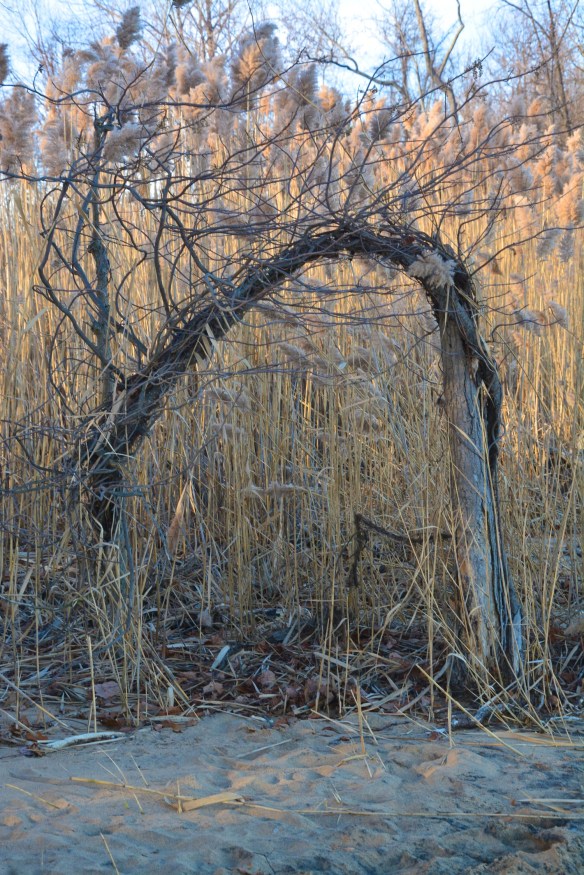 Lin and Michael's Photos