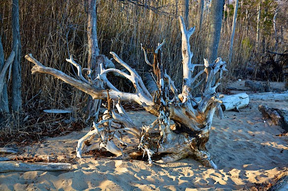 Lin and Michael's Photos