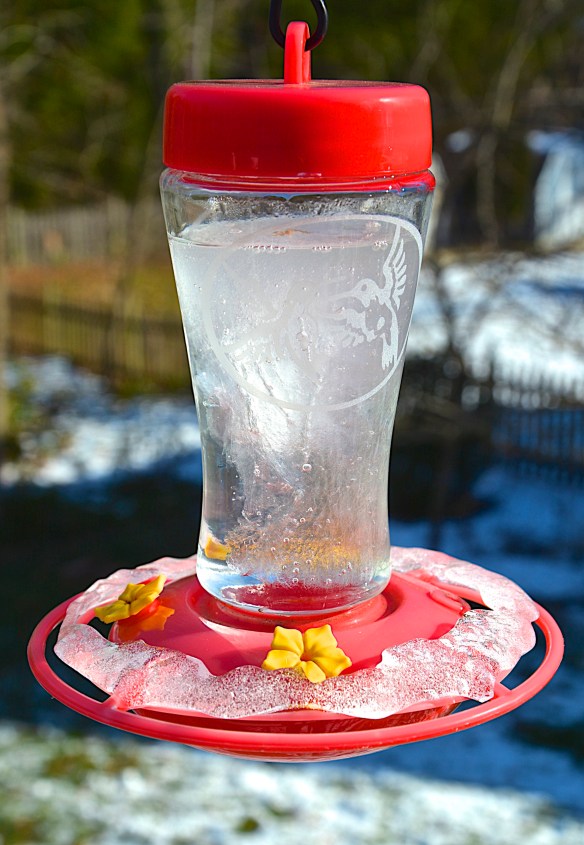 Lin and Michael's Photos