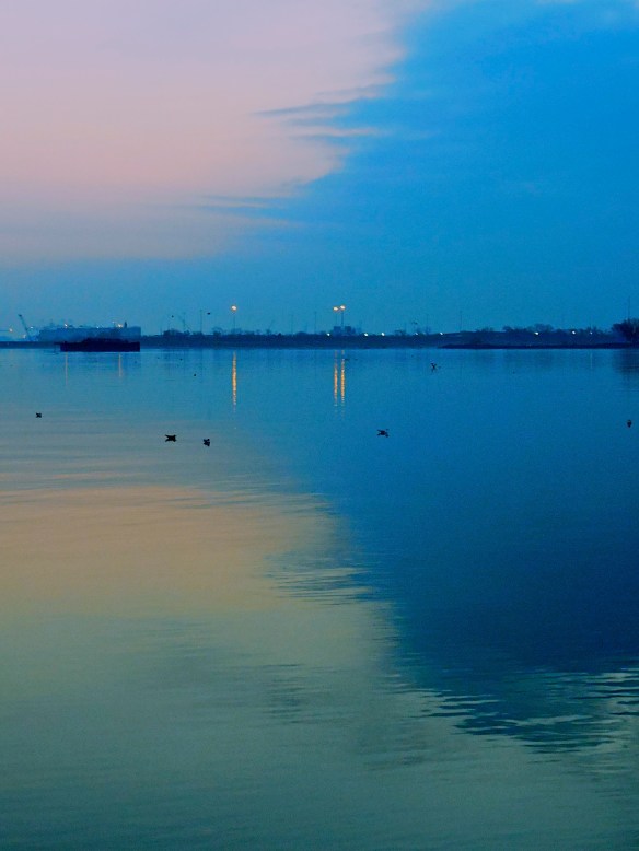 Lin and Michael's Photos