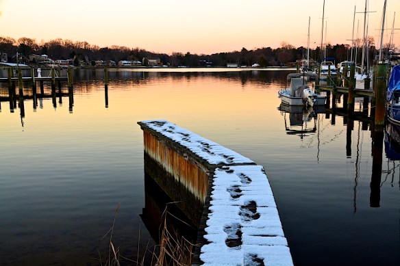 Lin and Michael's Photos