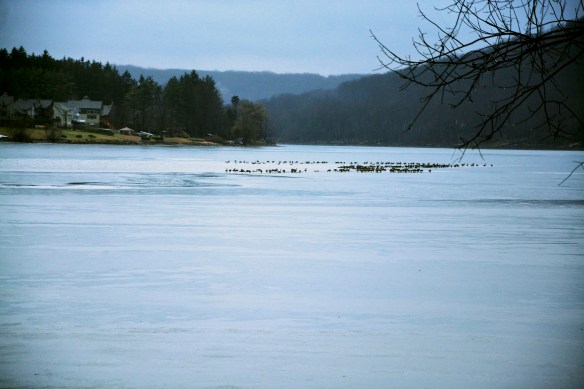 Lin and Michael's Photos