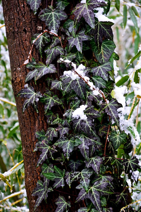 Lin and Michael's Photos