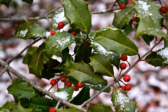 Lin and Michael's Photos