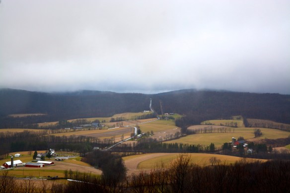 Lin and Michael's Photos