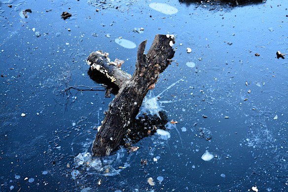 Lin and Michael's Photos