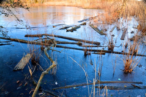 Lin and michael's Photos