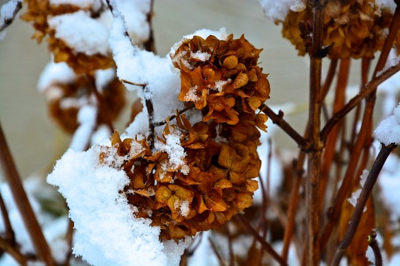 Lin and Michael's Photos