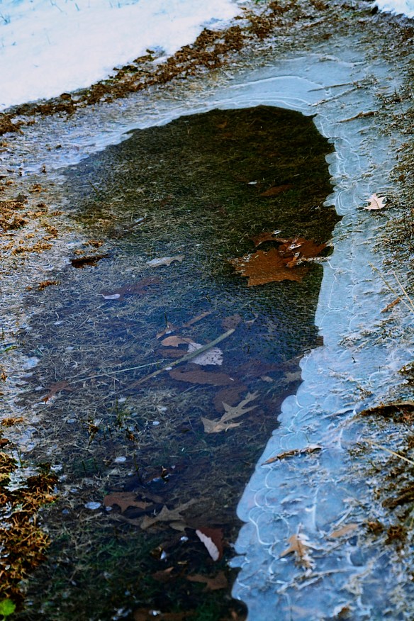 Lin and Michael's Photos