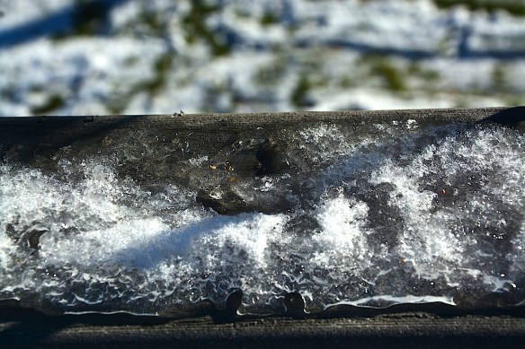 Lin and Michael's Photos