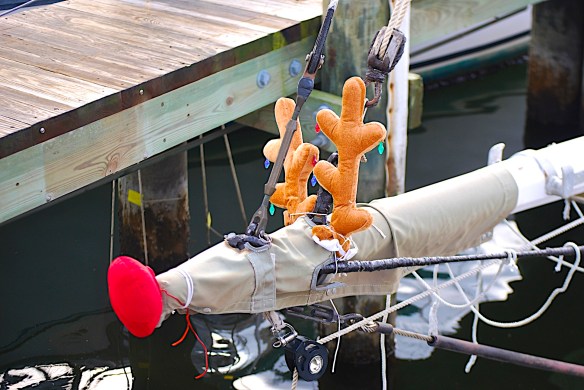 Lin and Michael's Photos