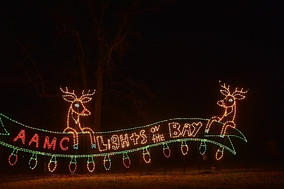 Lin and Michael's Photos