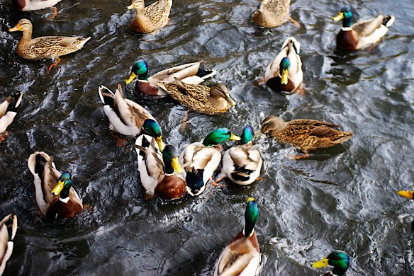 Lin and Michael's Photos